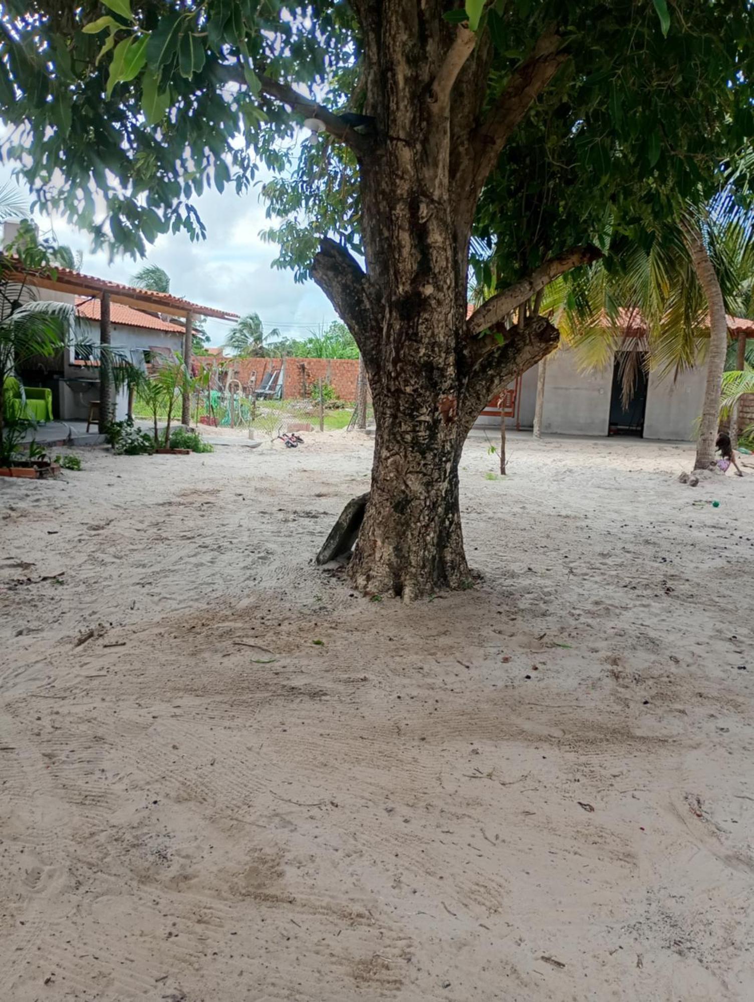 Pousada Shalom E Hostel Holly Land Santo Amaro do Maranhao Exterior photo