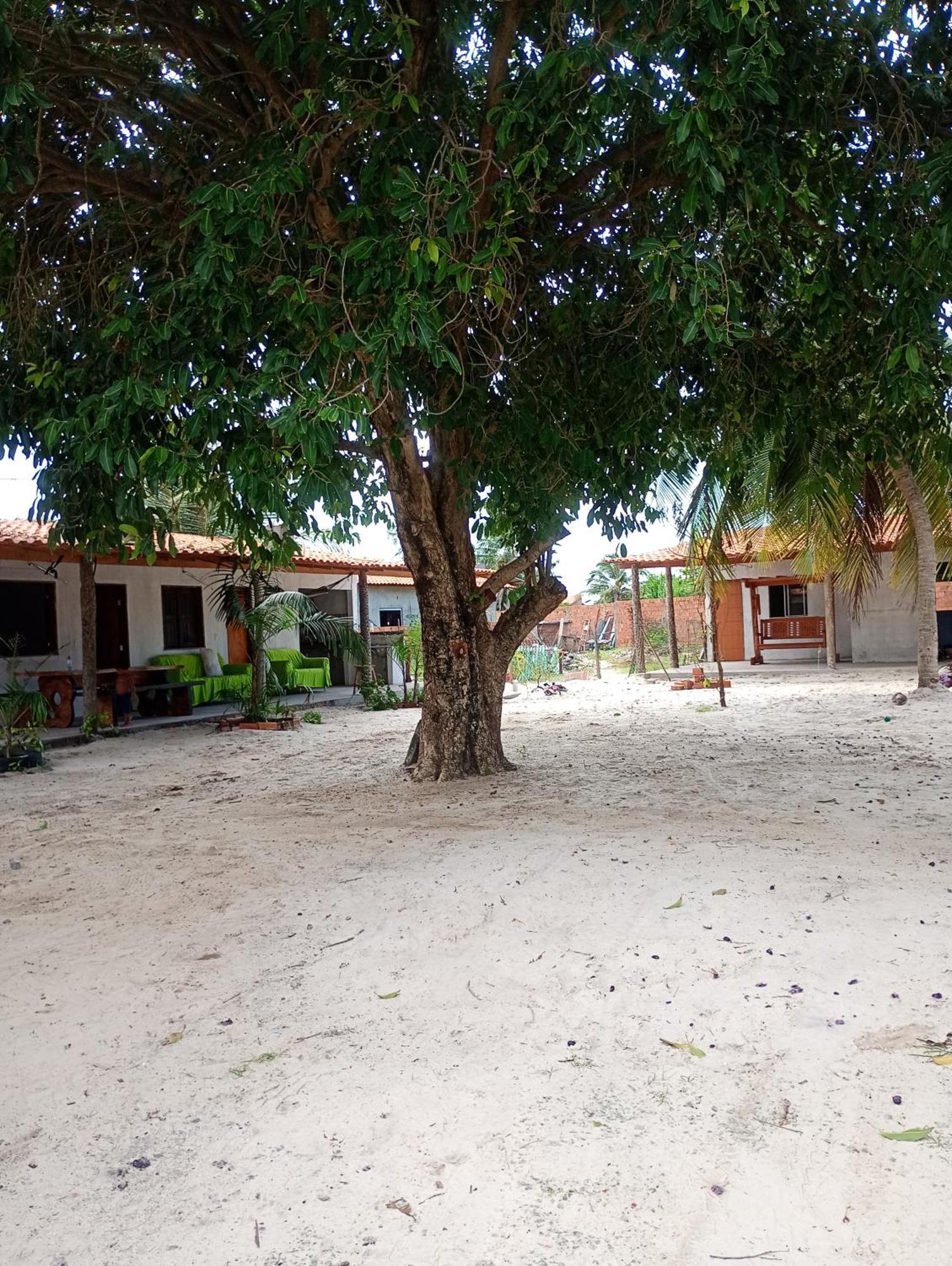 Pousada Shalom E Hostel Holly Land Santo Amaro do Maranhao Exterior photo